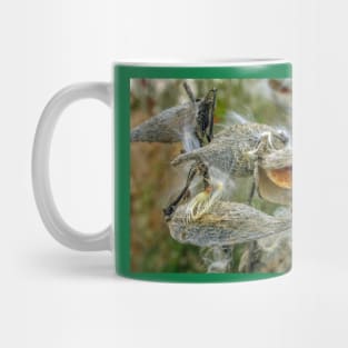 Milkweed Mug